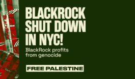 Green banner that reads "Blackrock Shut Down in NYC! BlackRock profits from genocide. FREE PALESTINE!" And a logo that says Shut It Down for Palestine